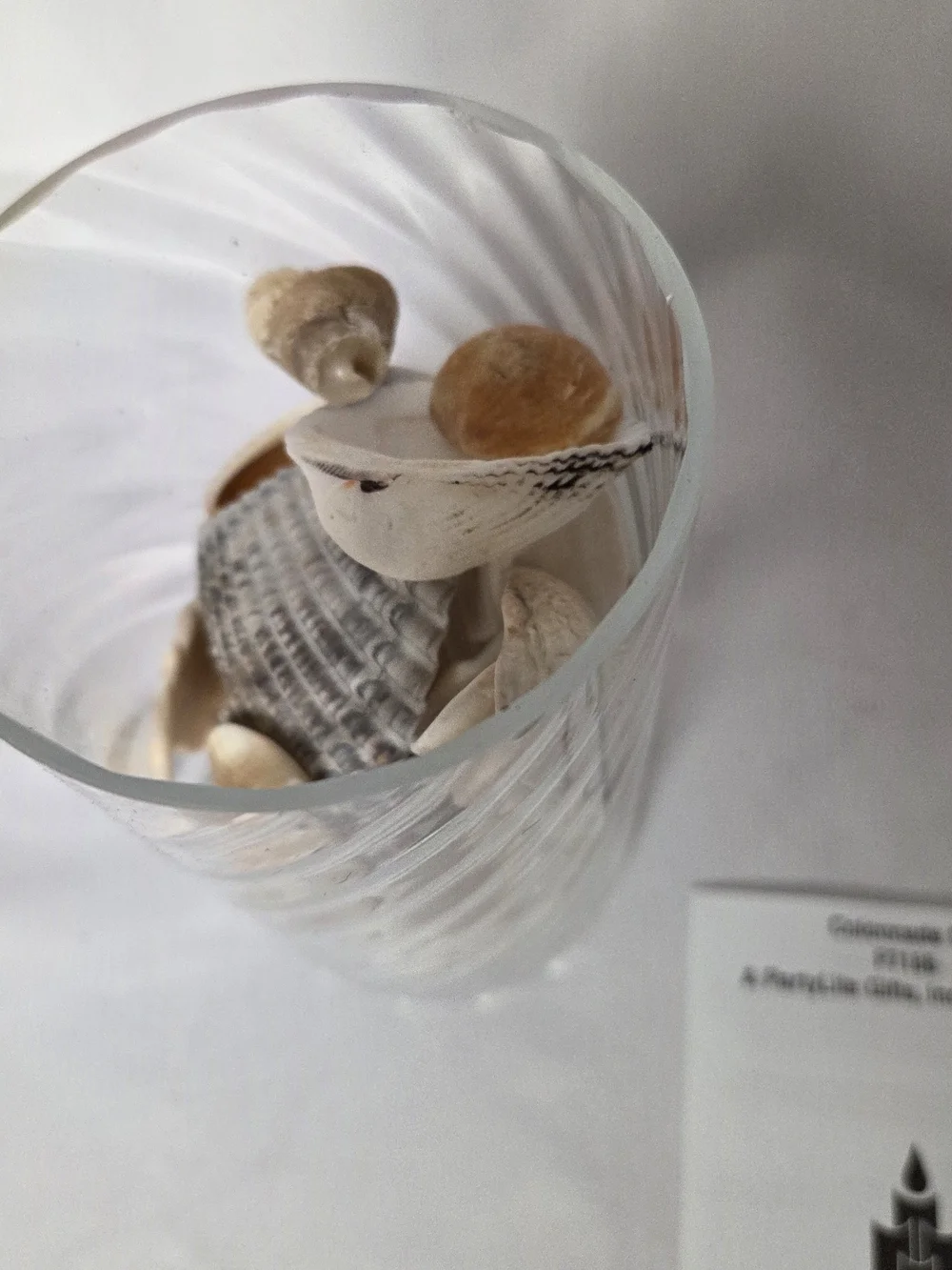 PartyLite Clear Glass Vase with Natural Shells P7186‎